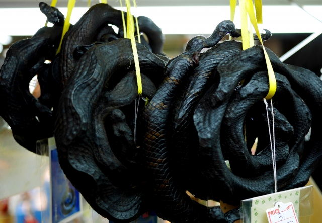 ハブ酒の効果と美味しい飲み方完全ガイド｜ゲテモノではない「琉球ハーブ酒」の真実