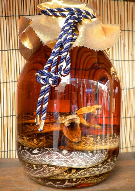 ハブ酒の効果と美味しい飲み方完全ガイド｜ゲテモノではない「琉球ハーブ酒」の真実