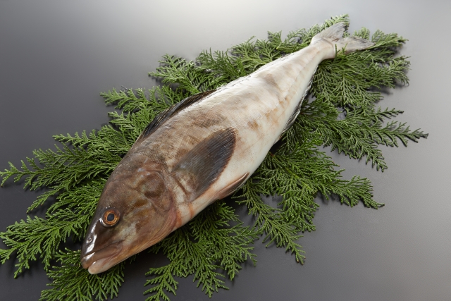 グリルなしで極上の味！大きなホッケをフライパンでふっくら焼く「酒蒸し」術