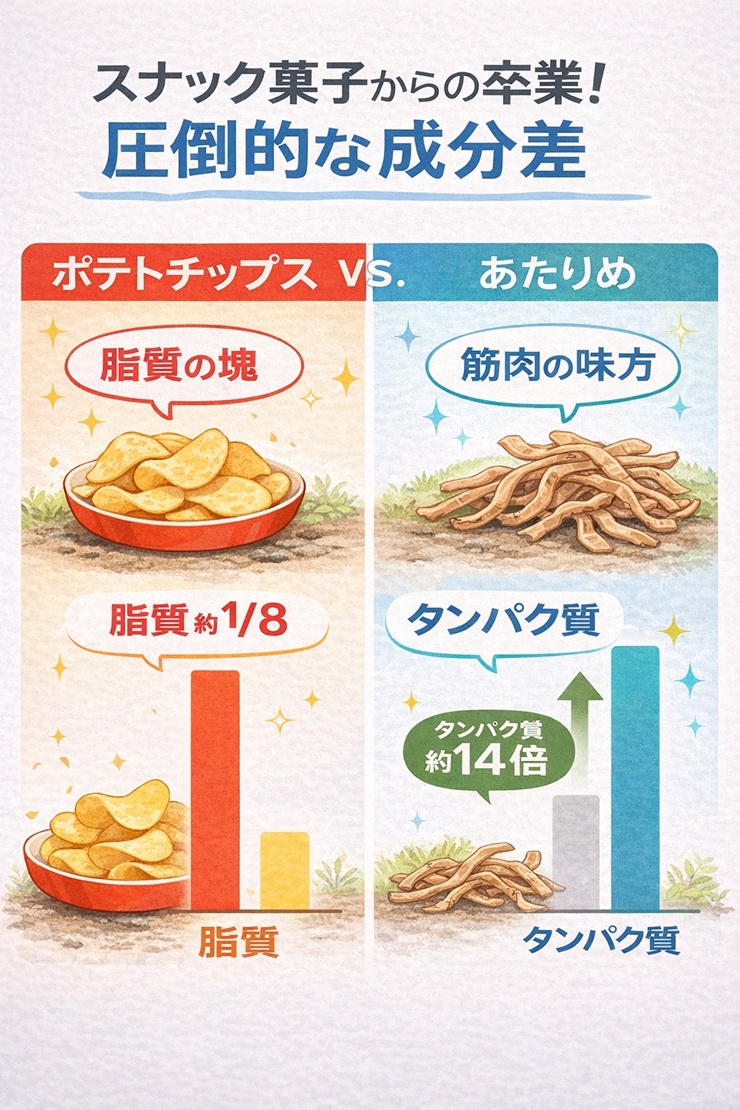 ポテトチップスとあたりめの栄養成分比較グラフ。あたりめはポテトチップスの約1/8の脂質で、約14倍のタンパク質を含む。