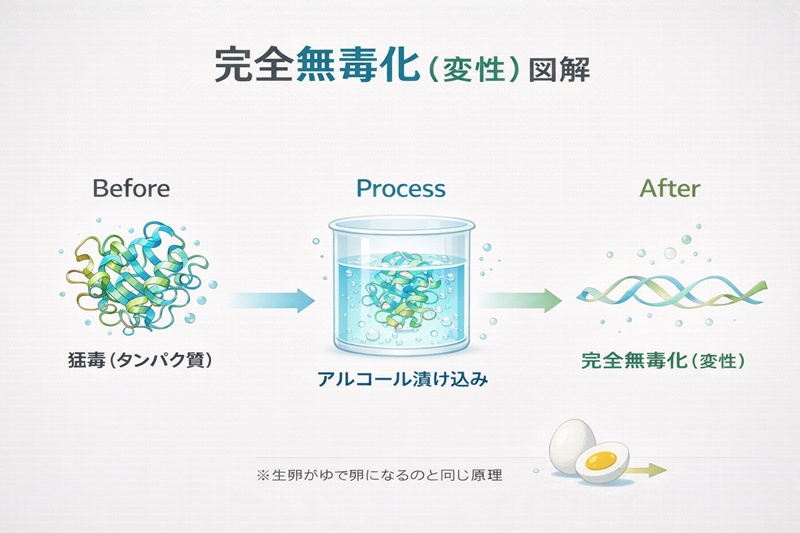 ハブの毒がアルコールによるタンパク質変性で無毒化されるメカニズムを解説した図。生卵がゆで卵になる変化に例えている。