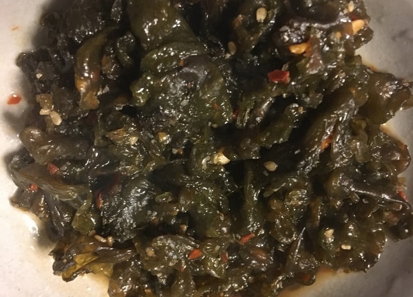 庭のイシクラゲは食べるな！30億年の「不気味なワカメ」の正体と安全な駆除法