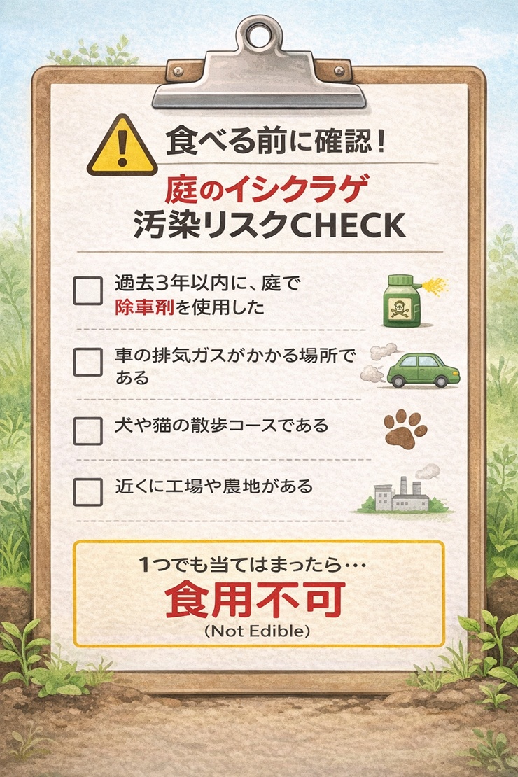 イシクラゲの食用可否を判断するための汚染リスクチェックリスト。除草剤、排気ガス、動物の糞尿などのリスク要因を列挙。