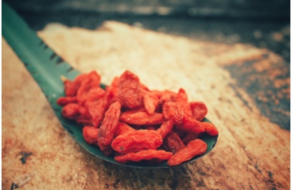 眼科医も注目！クコの実「1日20粒」の根拠と失敗しない選び方【副作用・レシピ】