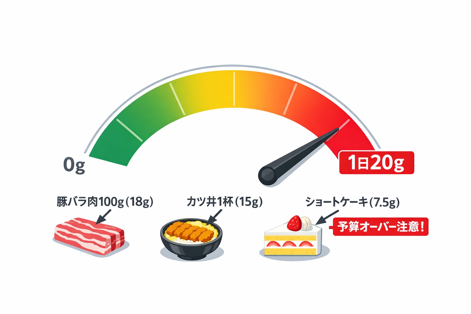 飽和脂肪酸の1日摂取上限20gを示すメーター。豚バラ肉100gで18gを消費し、予算のほとんどを使ってしまう様子を図解。