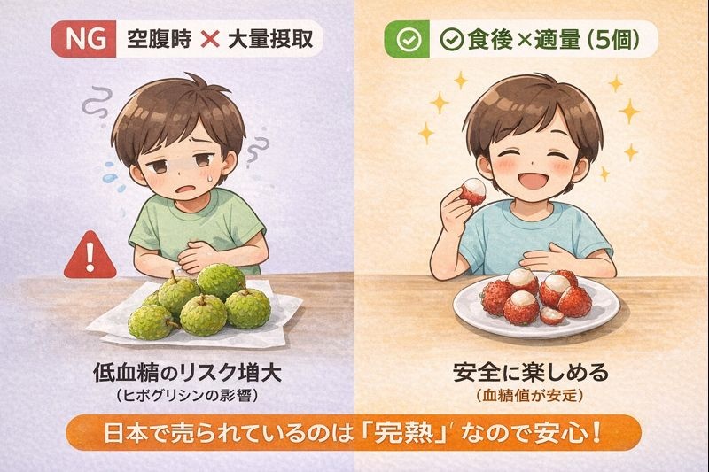ライチの安全な食べ方図解。空腹時の大量摂取は避け、食後のデザートとして適量を食べることが推奨されている。