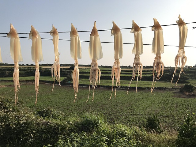 脱・スナック菓子。30代からの「あたりめ」選びは、セブンと「水くぐらせ」で完成する。