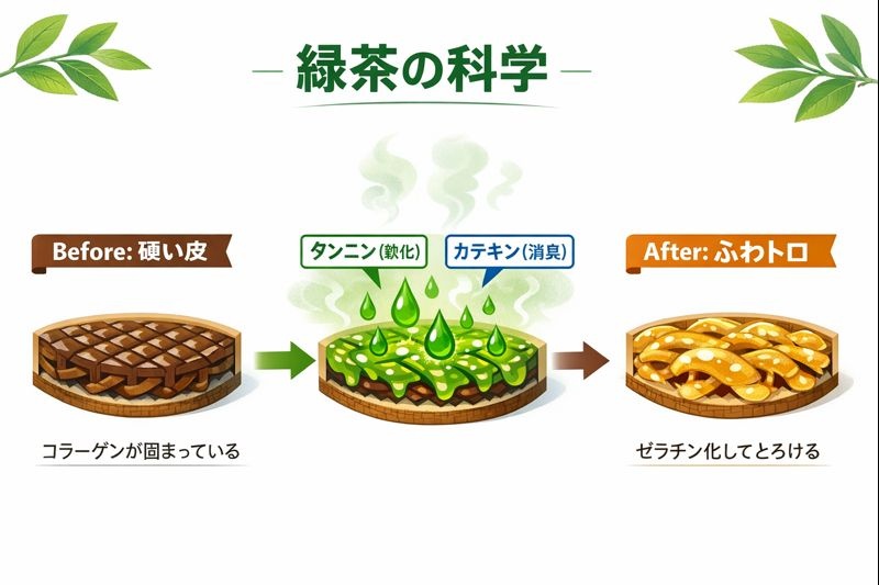 緑茶のタンニンがうなぎの皮のコラーゲンを分解し、カテキンが臭みを取り除くメカニズムの図解