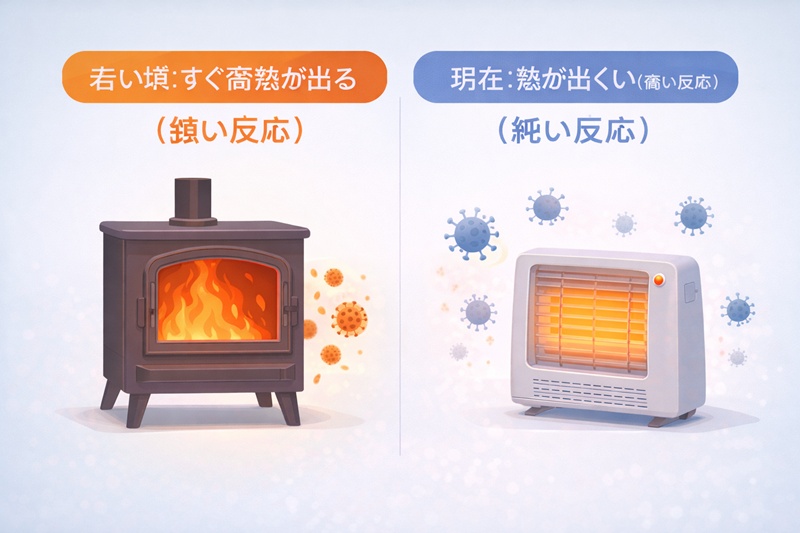 免疫老化により、肺炎になっても高熱が出にくくなるメカニズムをストーブの出力に例えた比較図。