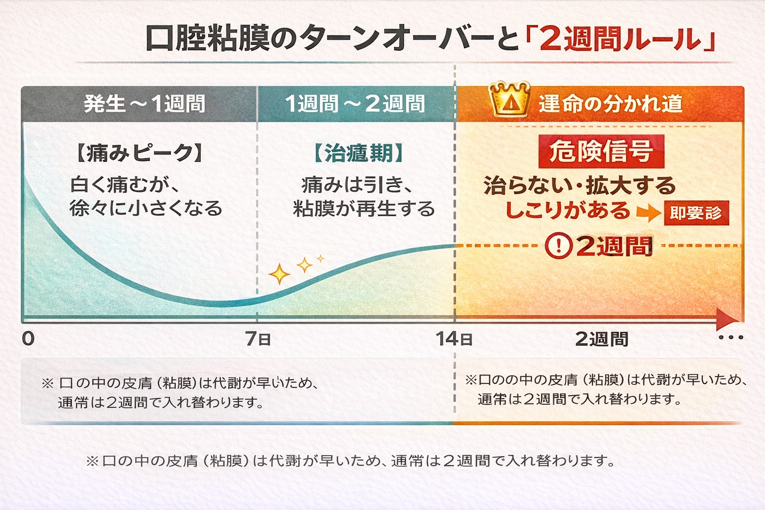口内炎の経過タイムライン図。発生から2週間以内の治癒は正常だが、2週間を超えて治らない場合は口腔がん等の疑いがあるため受診が必要であることを示している。