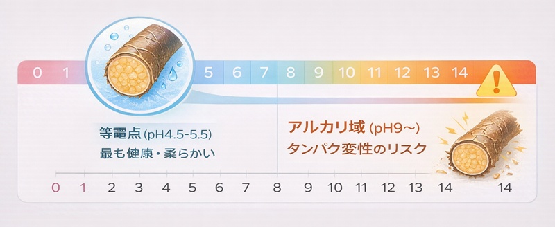 髪のpH値とダメージの関係を示す図。弱酸性の等電点付近が最も健康で、アルカリ性に寄るほどタンパク変性が起きやすくなることを解説