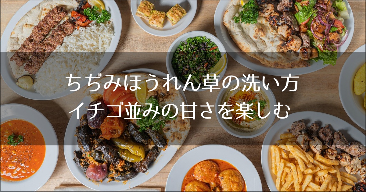 ちぢみほうれん草の洗い方｜泥だらけの根っこは捨てないで！イチゴ並みの甘さを楽しむ