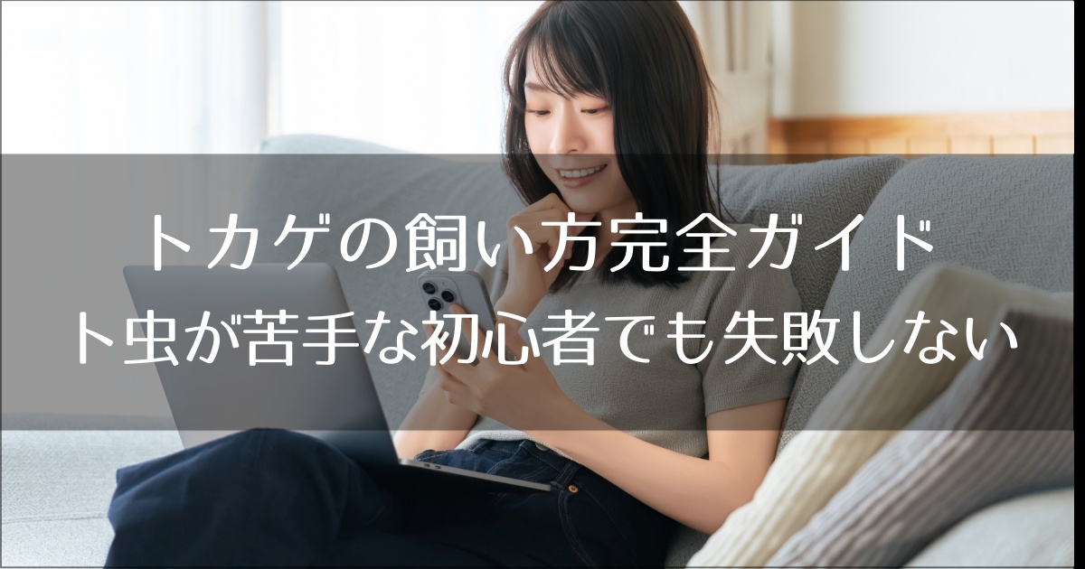 トカゲの飼い方完全ガイド｜虫が苦手な初心者でも失敗しない種類と準備