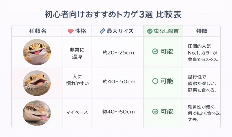 【診断】あなたにぴったりのトカゲは？初心者におすすめの3種