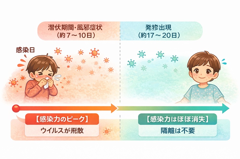 ヒトパルボウイルスB19（りんご病）の感染力は発疹が出る前の風邪症状の時期がピークであり、発疹が出た時点では感染力がほぼ消失していることを示すタイムライン図。