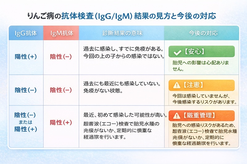 りんご病の抗体検査（IgG/IgM）結果の見方と今後の対応