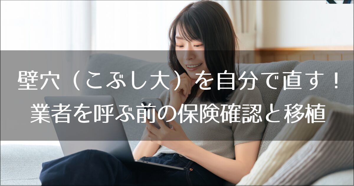壁穴（こぶし大）を自分で直す！業者を呼ぶ前の保険確認と移植
